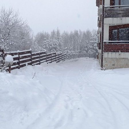 Apartment Detelina Residence Bansko Dış mekan fotoğraf