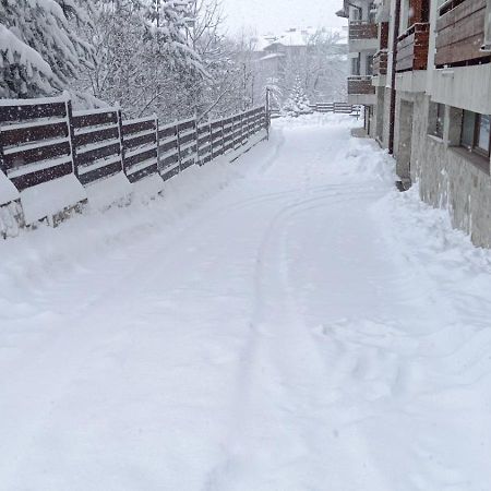 Apartment Detelina Residence Bansko Dış mekan fotoğraf