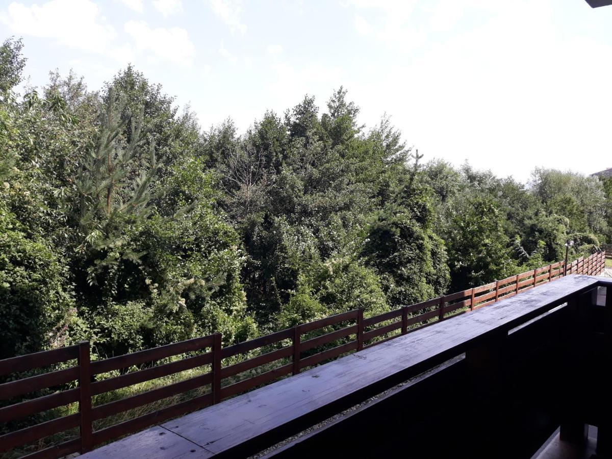 Apartment Detelina Residence Bansko Dış mekan fotoğraf