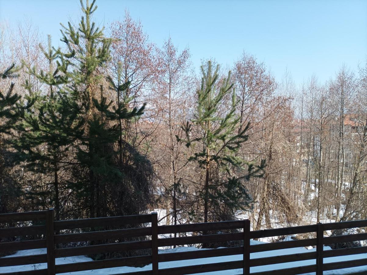 Apartment Detelina Residence Bansko Dış mekan fotoğraf