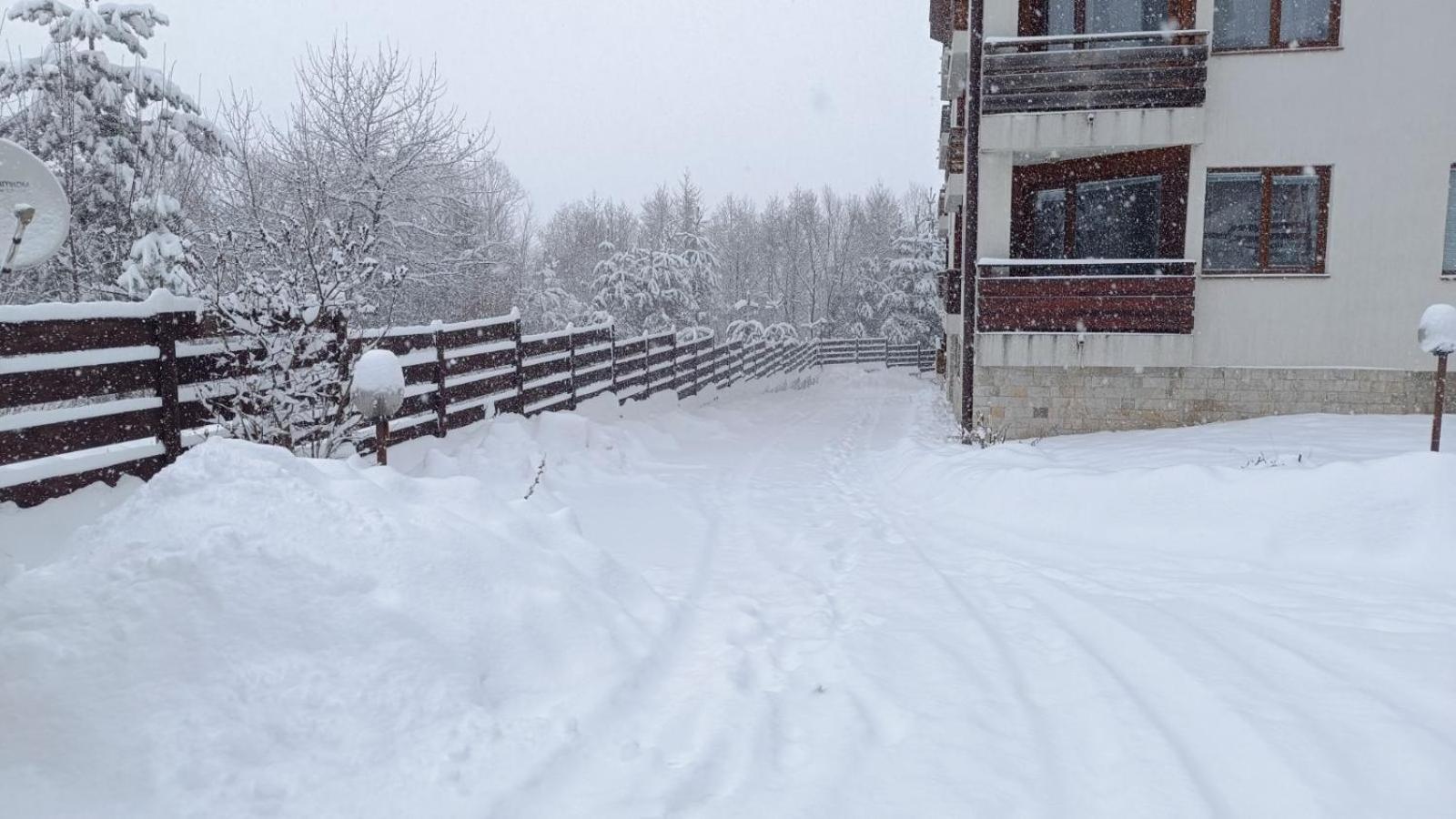 Apartment Detelina Residence Bansko Dış mekan fotoğraf