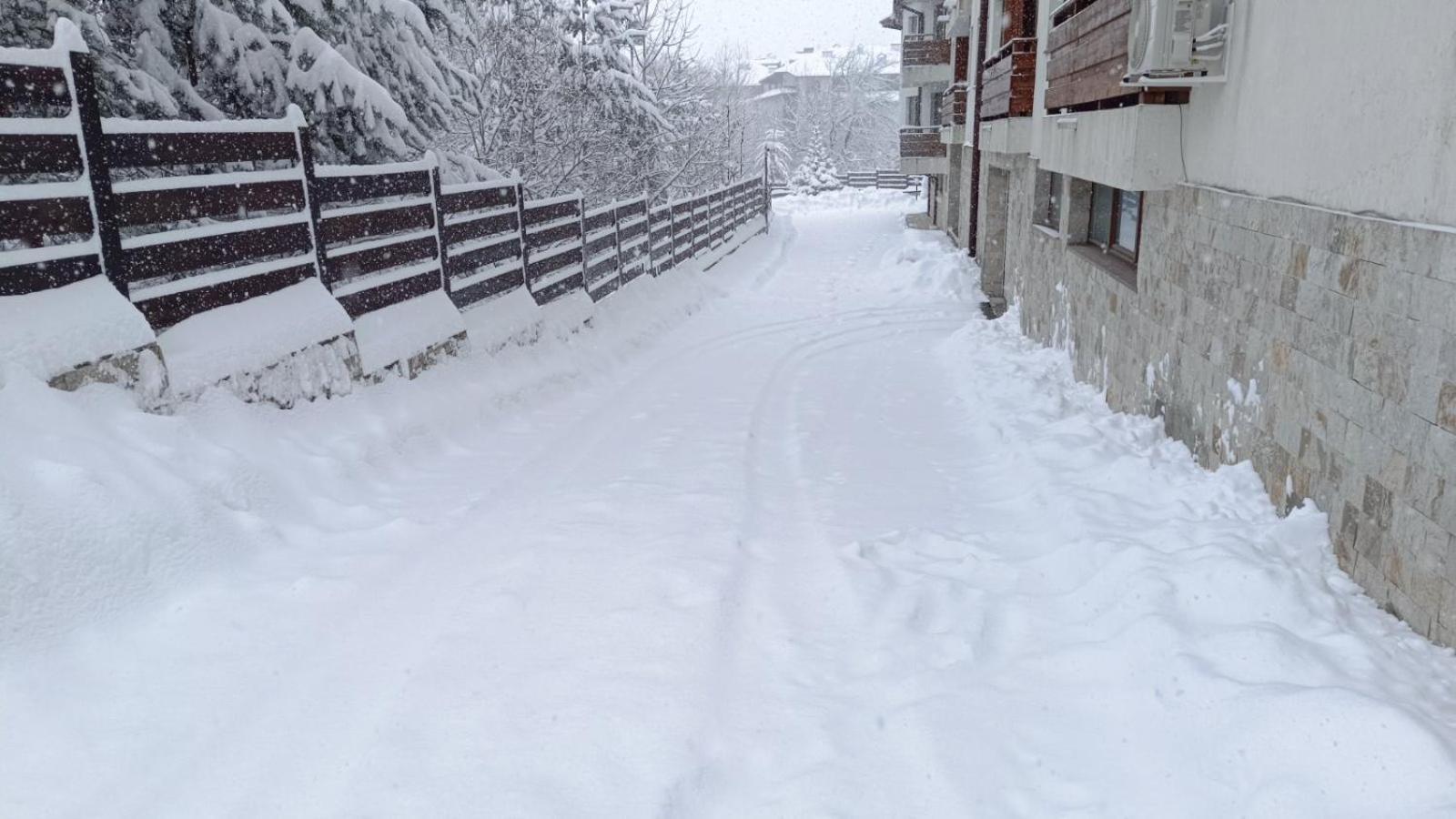 Apartment Detelina Residence Bansko Dış mekan fotoğraf