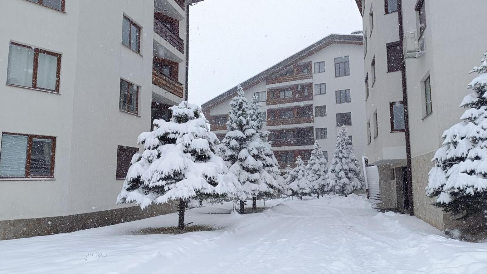 Apartment Detelina Residence Bansko Dış mekan fotoğraf