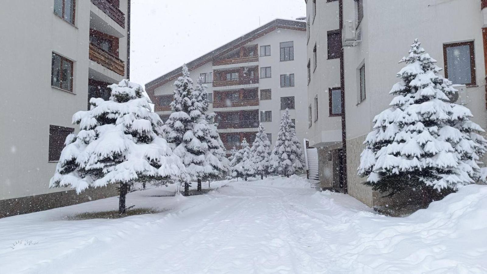 Apartment Detelina Residence Bansko Dış mekan fotoğraf