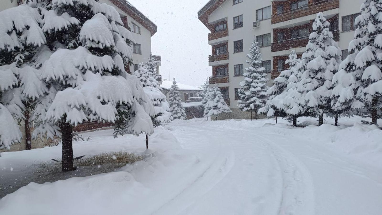 Apartment Detelina Residence Bansko Dış mekan fotoğraf