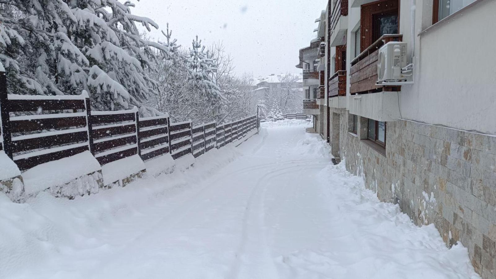 Apartment Detelina Residence Bansko Dış mekan fotoğraf