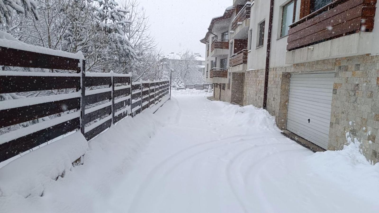 Apartment Detelina Residence Bansko Dış mekan fotoğraf