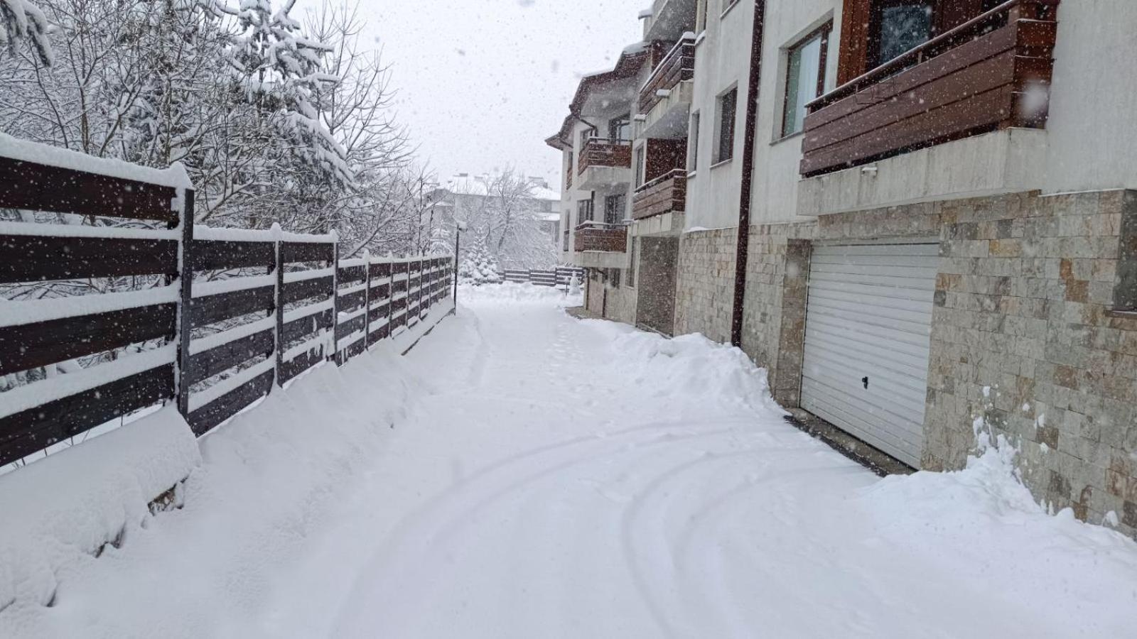 Apartment Detelina Residence Bansko Dış mekan fotoğraf